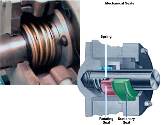 Mechanical seal